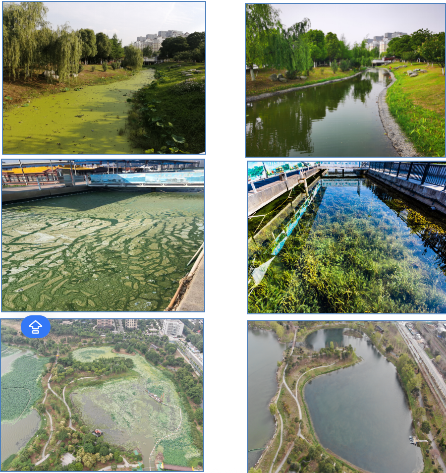 Snipaste_2025-08-29_12-07-23.png Snipaste_2025-08-29_12-07-23.png